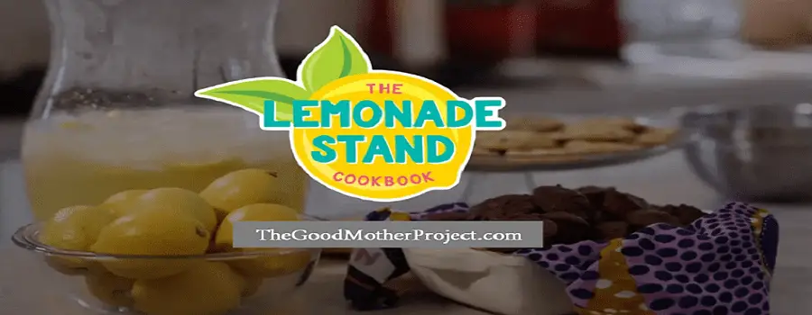Lemonade Stand Cookbook