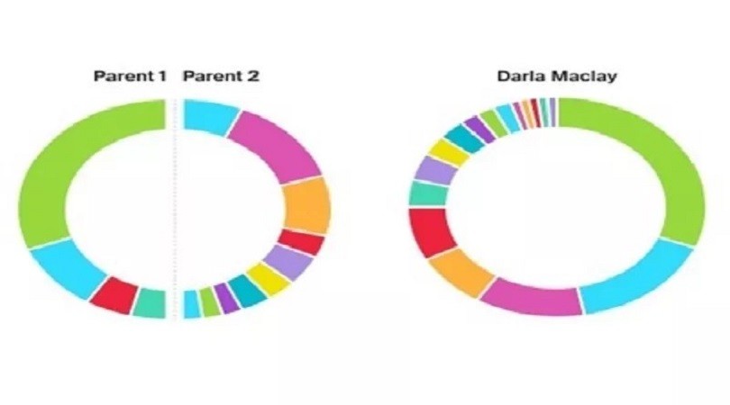 Who Is Parent 1 On Ancestry Dna