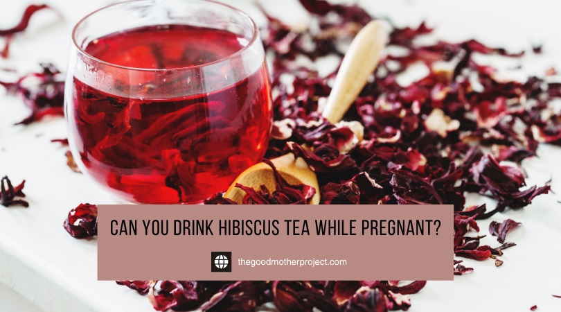 can you drink hibiscus tea while pregnant