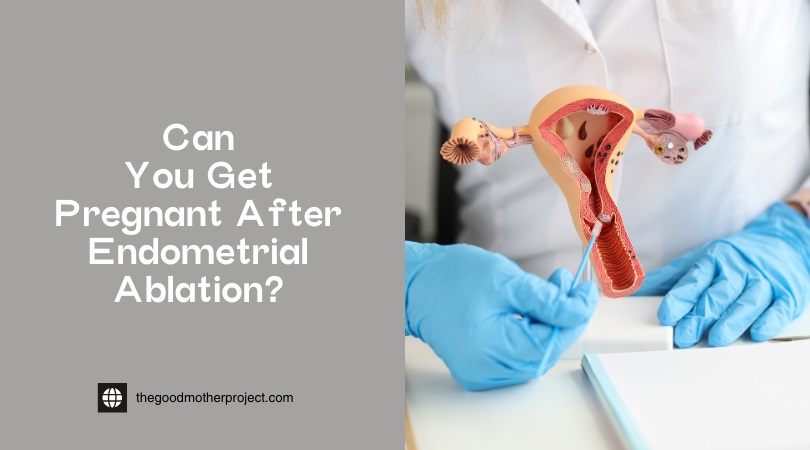 can you get pregnant after endometrial ablation