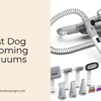 best dog grooming vacuums