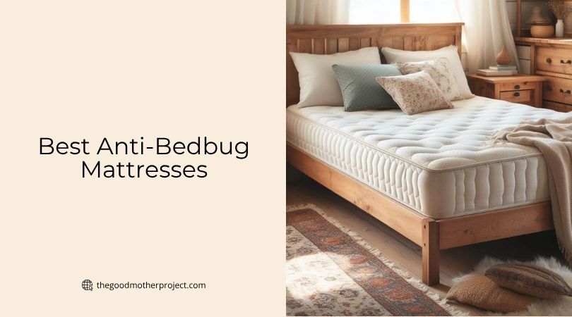 best anti-bedbug mattresses