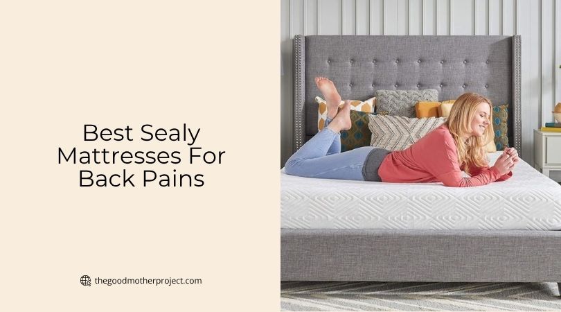 best sealy mattresses for back pains