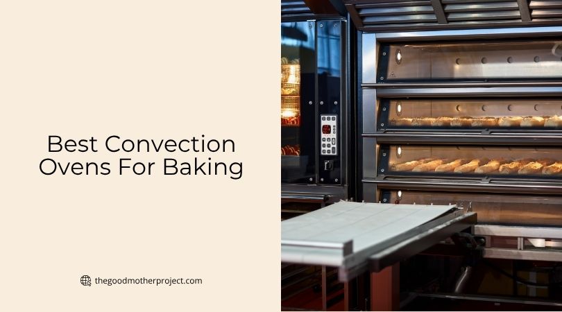best convection ovens for baking