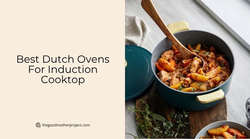 best dutch ovens for induction cooktop