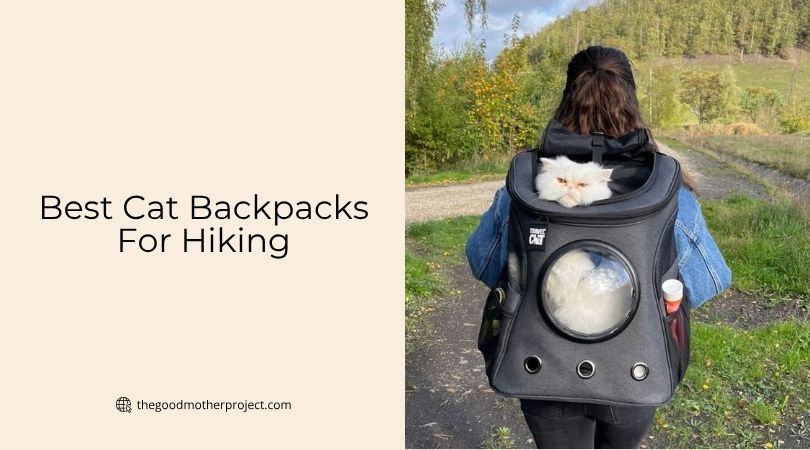 best cat backpacks for hiking