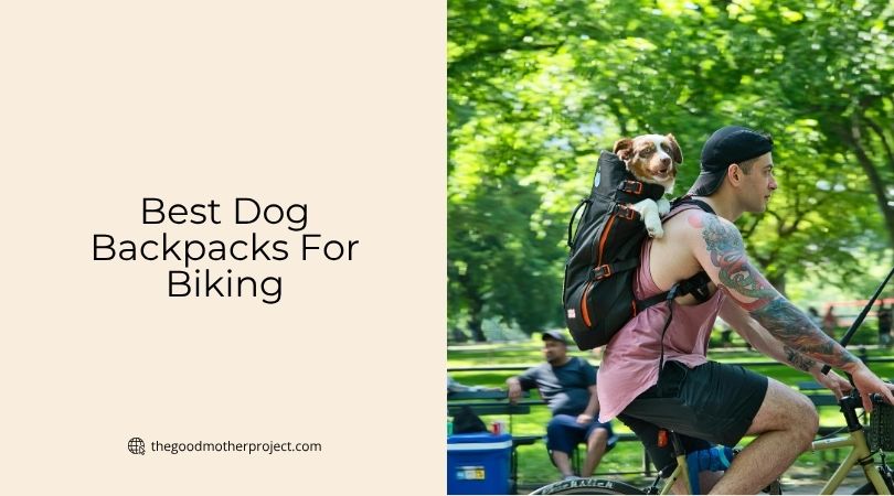 best dog backpacks for biking