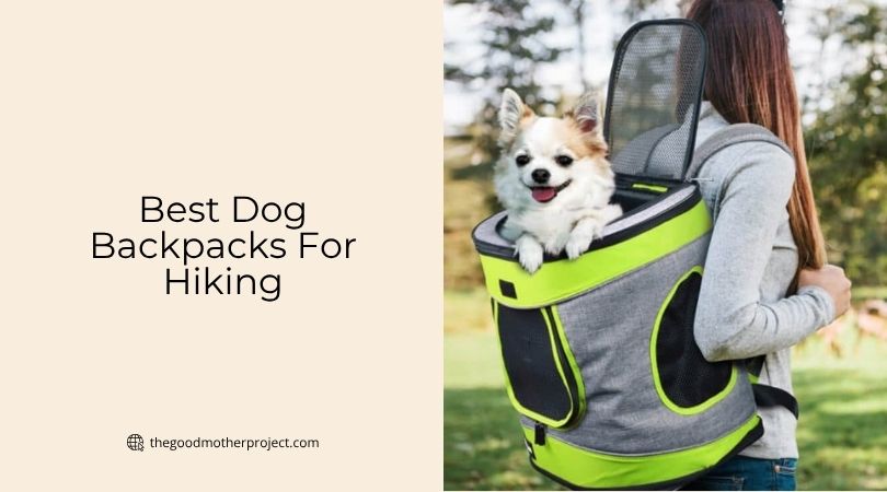 best dog backpacks for hiking